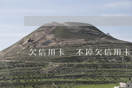 欠信用卡還不掉 欠信用卡還不掉