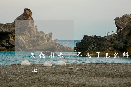 欠信用卡還不起了怎么解決-欠信用卡還不上