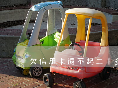 欠信用卡還不起二十多萬怎么辦-