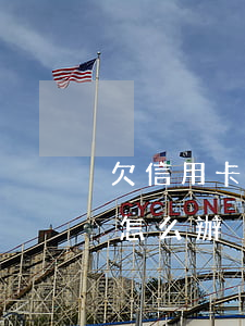 欠信用卡還不起原因(欠信用卡實在還不起了怎么辦)