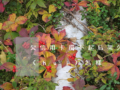 欠信用卡還不起后果(欠信用卡還不起后果會(huì)怎樣)