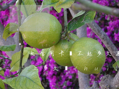 欠信用卡還不起多久通緝(欠銀行信用卡還不上多久會(huì)被起訴)