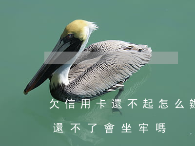 欠信用卡還不起怎么辦還可以嗎-欠信用卡還不了會坐牢嗎