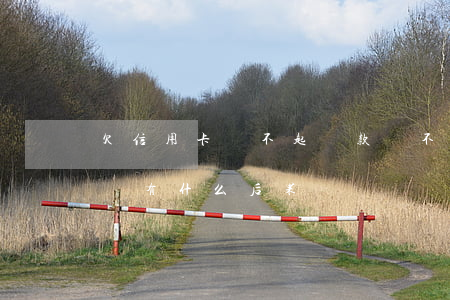 欠信用卡還不起貸款(還不上銀行信用卡貸款會有什么后果)