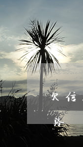欠信用卡還不起跑路成功率（還不起信用卡跑路）