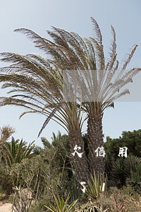 欠信用卡還了1萬(wàn)多(欠信用卡還了1萬(wàn)多會(huì)怎樣)