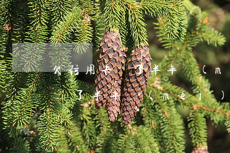 欠信用卡還了半年沒(méi)還(欠信用卡還了半年沒(méi)還)