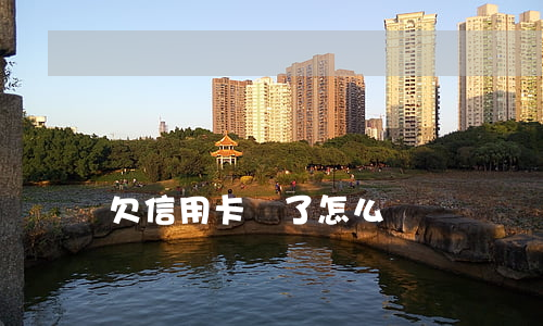 欠信用卡還了怎么辦