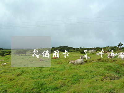 欠信用卡還了會(huì)被公訴
