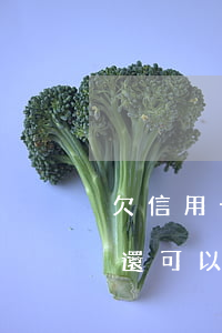 欠信用卡還可以辦銀行儲蓄卡嗎-欠信用卡還可以辦銀行儲蓄卡嗎知乎