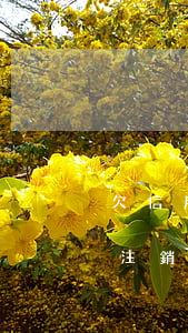 欠信用卡還完怎么注銷 欠信用卡還完了怎么注銷卡
