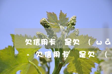 欠信用卡還是欠網(wǎng)貸怎么選擇-欠信用卡還是欠網(wǎng)貸怎么選擇還款方式