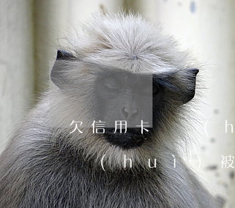 欠信用卡還會(huì)被通緝嗎(欠信用卡會(huì)被通緝嗎?)