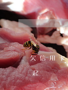 欠信用卡還款會起訴嗎(欠信用卡的錢銀行會起訴嗎)