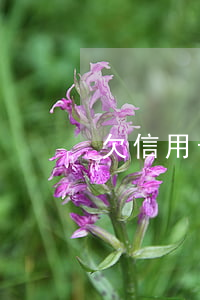 欠信用卡還款注意事項(如何還信用卡欠款)