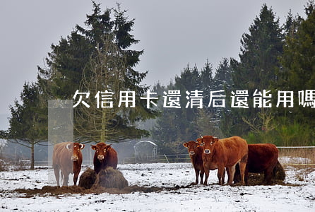 欠信用卡還清后還能用嗎-還了信用卡