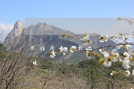 欠信用卡還能出國嗎-欠信用卡會限制出入境嗎