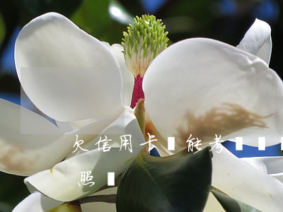 欠信用卡還能考駕駛證嗎（欠信用卡影響考駕照嗎）
