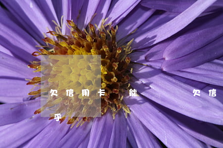 欠信用卡還能訂煙嗎(欠信用卡還能訂煙嗎知乎)
