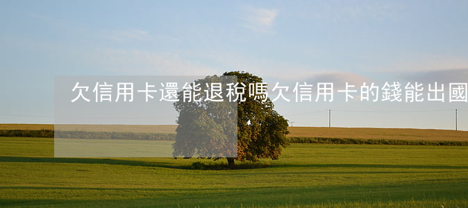 欠信用卡還能退稅嗎 欠信用卡的錢能出國嗎
