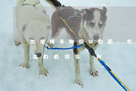 欠信用卡那可以自首-欠信用卡的錢沒有還,去自首可以輕判嗎?