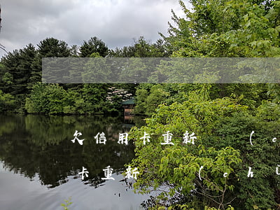 欠信用卡重新辦儲(chǔ)蓄卡-欠信用卡重新辦儲(chǔ)蓄卡有影響嗎