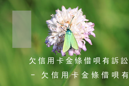 欠信用卡金條借唄有訴訟時(shí)效嗎-欠信用卡金條借唄有訴訟時(shí)效嗎多久
