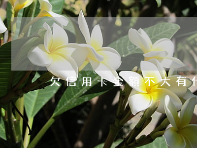 欠信用卡金額不大有什么影響