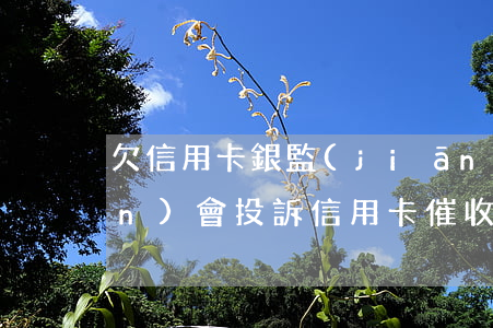 欠信用卡銀監(jiān)局(銀監(jiān)會投訴信用卡催收銀行會收到什么處罰)