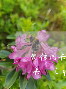 欠信用卡銀能開(kāi)戶不(欠銀行信用卡錢(qián)能辦儲(chǔ)蓄卡嗎)