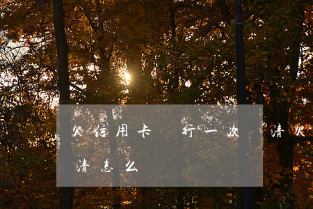 欠信用卡銀行一次還清(欠信用卡銀行一次還清怎么辦)
