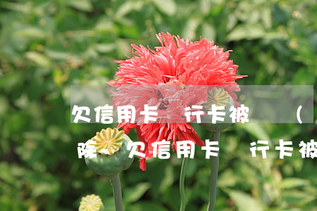 欠信用卡銀行卡被凍結(jié)了怎么解除-欠信用卡銀行卡被凍結(jié)了怎么解除呢