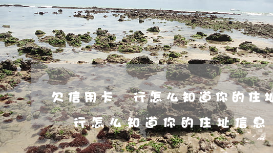 欠信用卡銀行怎么知道你的住址-欠信用卡銀行怎么知道你的住址信息