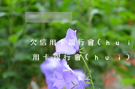 欠信用卡銀行會(huì)倒閉嗎知乎（欠信用卡銀行會(huì)倒閉嗎）