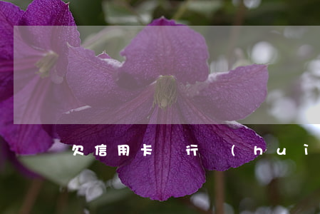 欠信用卡銀行會(huì)催收嗎