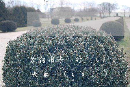 欠信用卡銀行會(huì)凍結(jié)夫妻財(cái)產(chǎn)嗎-欠信用卡銀行會(huì)凍結(jié)夫妻財(cái)產(chǎn)嗎知乎
