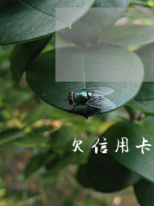 欠信用卡銀行會上門嗎(欠信用卡銀行會上門嗎)