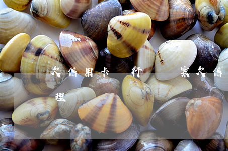 欠信用卡銀行會報案(欠信用卡銀行會報案處理嗎)