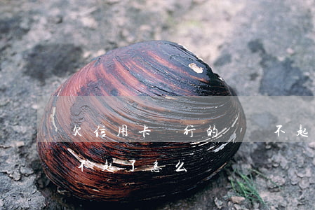 欠信用卡銀行的錢還不起怎么辦(欠信用卡還不起了怎么辦)