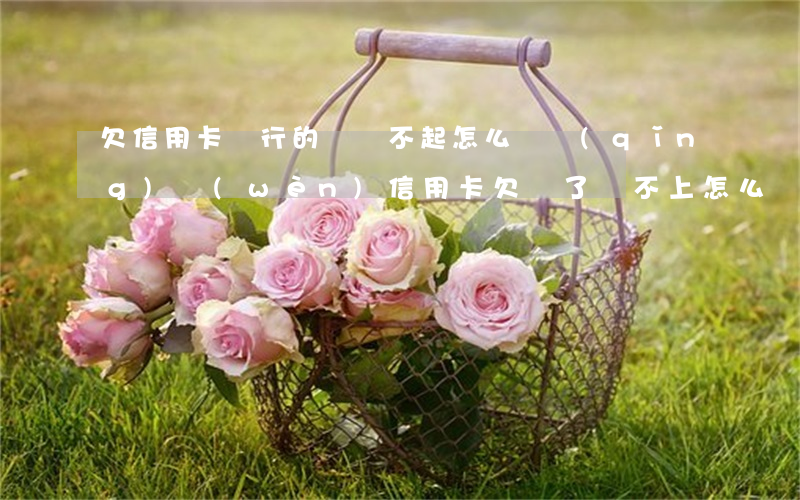 欠信用卡銀行的錢還不起怎么辦(請(qǐng)問(wèn)信用卡欠錢了還不上怎么辦呢)