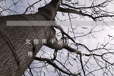 欠信用卡銀行突然不打電話了怎么回事（欠信用卡銀行不催款了）
