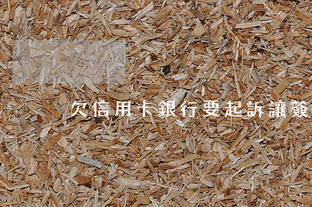 欠信用卡銀行要起訴讓簽字怎么辦