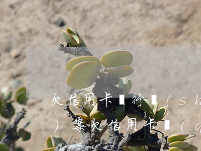 欠信用卡銀行說(shuō)要報(bào)案 欠信用卡錢(qián)銀行報(bào)案了怎么辦