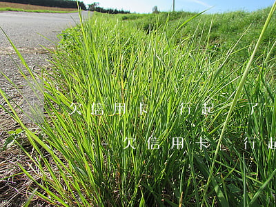 欠信用卡銀行起訴了應(yīng)該怎么辦-欠信用卡銀行起訴了應(yīng)該怎么辦呢