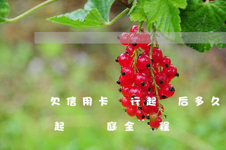 欠信用卡銀行起訴后多久開庭（信用卡逾期被起訴開庭全過程）