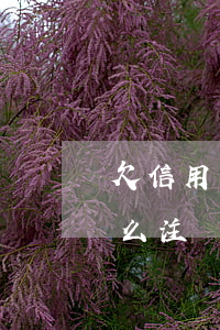 欠信用卡銷卡怎么還款-欠信用卡還完了怎么注銷卡