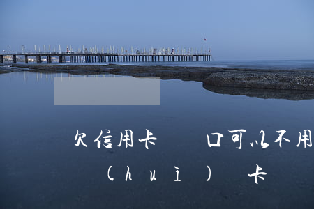 欠信用卡銷戶口可以不用還嗎（欠信用卡錢說會(huì)銷卡）