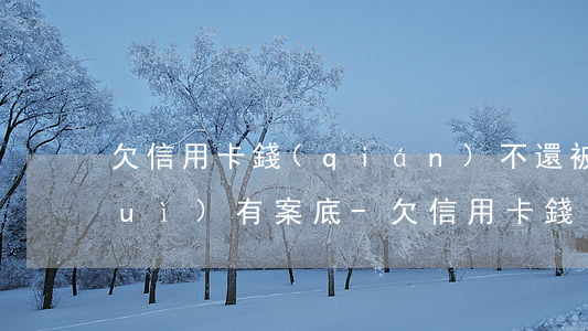 欠信用卡錢(qián)不還被拘留會(huì)有案底-欠信用卡錢(qián)不還被拘留會(huì)有案底嗎
