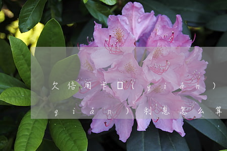 欠信用卡錢(qián)利息 欠信用卡錢(qián)利息怎么算