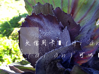 欠信用卡錢(qián)最低還不上,還一點(diǎn)可以嗎（信用卡逾期連最低都還不上）